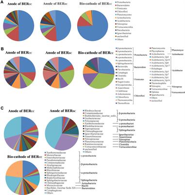 Cooperative cathodes for enhanced hexavalent chromium reduction and electricity generation in bioelectrochemical reactor with simultaneous sludge degradation